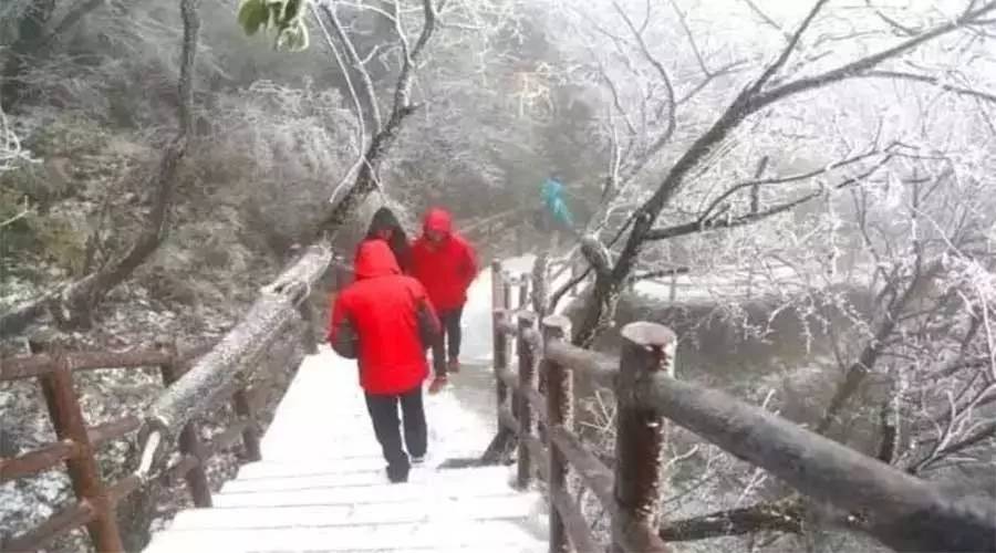 河南今秋首場雪來啦！還有大風+暴雨…不過駐馬店的你再忍2天，好消息就來啦！