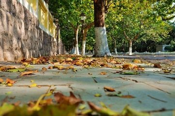 降雨！降溫！駐馬店本周最低-2℃！然而透心涼的不止是天氣，還有這些…