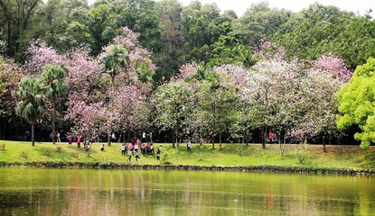 最高溫18℃！駐馬店今日溫暖如春，還有這些消息...