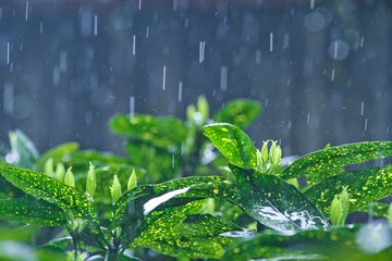 大雨來襲、被國家看上...3月，駐馬店還有13件大事與你有關(guān)