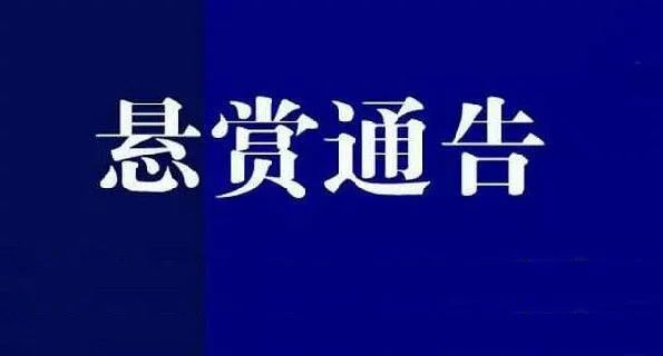 駐馬店這4個人誰認(rèn)識？舉報最高獎勵20000元！