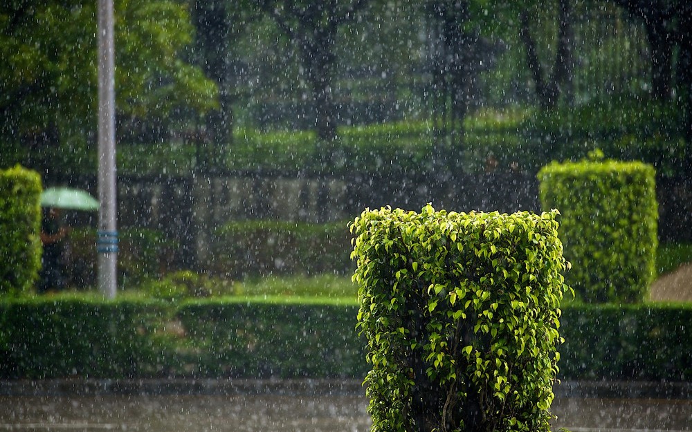 最低20℃+雨雨雨！駐馬店接下來的天氣讓人崩潰，更刺激的竟是…