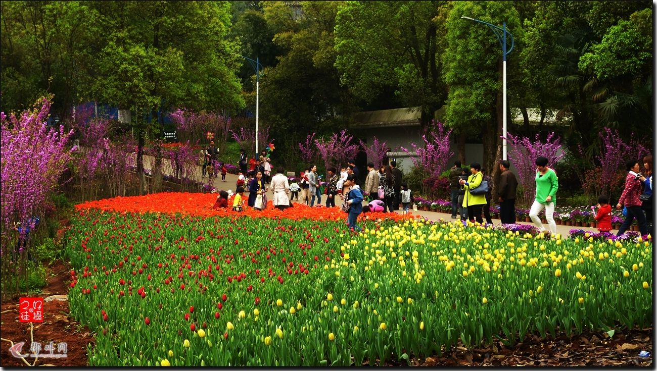 占地約1200畝！駐馬店市植物園選址定啦！今后還將建這3大植物園！