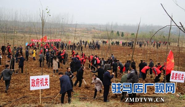 駐馬店各縣區(qū)掀起冬季義務(wù)植樹(shù)熱潮