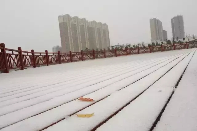 -3°C！駐馬店要下雪了！寒潮+降溫+大風一起突襲！更扎心的是...