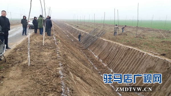 汝南縣三橋鎮(zhèn)利用冬閑 積極實(shí)施國(guó)土綠化