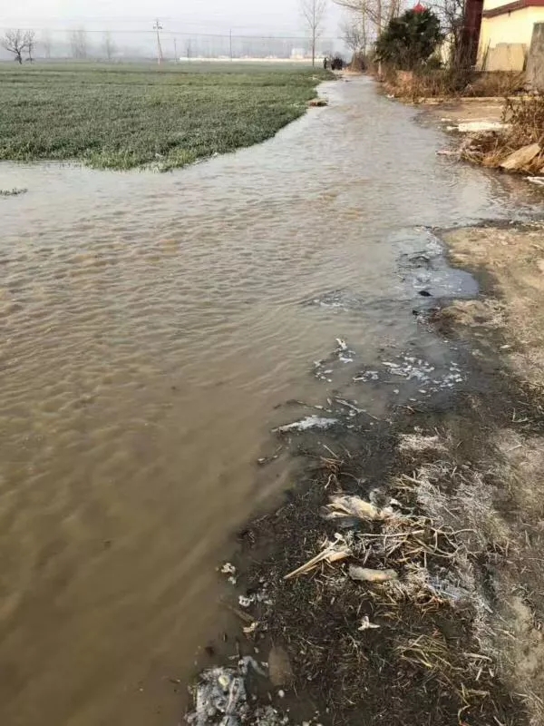 說好來水，卻還沒水？原來，駐馬店這里又爆管啦！