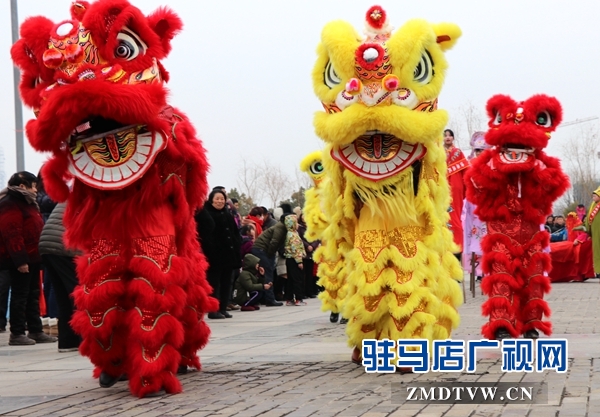 舞龍、耍獅、扭秧歌 駐馬店民間藝術(shù)展演吸引數(shù)千市民圍觀