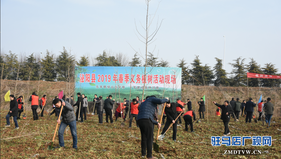 泌陽縣2019年春季義務植樹活動啟動