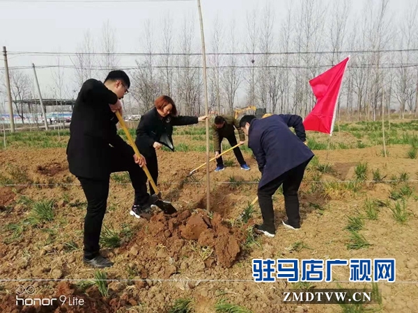 汝南縣三橋鎮(zhèn)黨員干部參加義務植樹活動