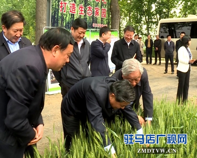 武國定一行到駐馬店調(diào)研小麥赤霉病統(tǒng)防統(tǒng)治工作