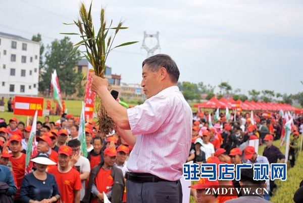 正陽千余農民麥田選秀