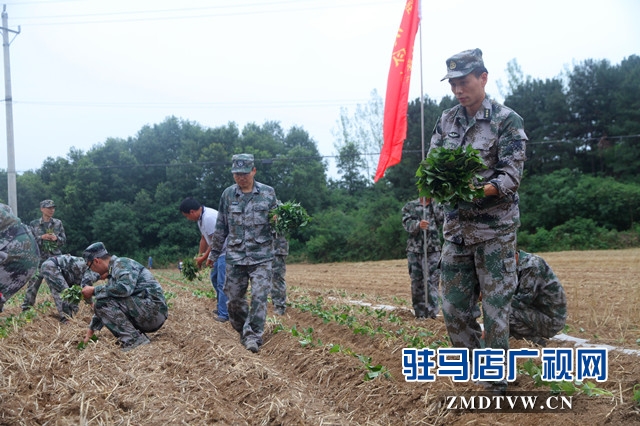 驛城區(qū)人武部：結(jié)對幫扶受歡迎