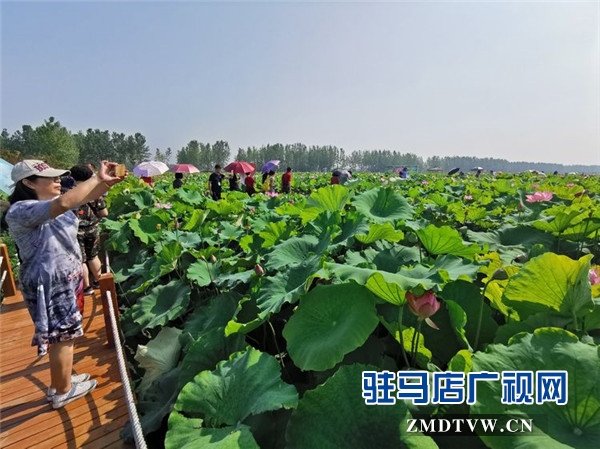 武漢旅游專列800余人赴平輿縣藍天芝麻小鎮(zhèn)觀光旅游開啟藍天芝麻小鎮(zhèn)“旅游元年”