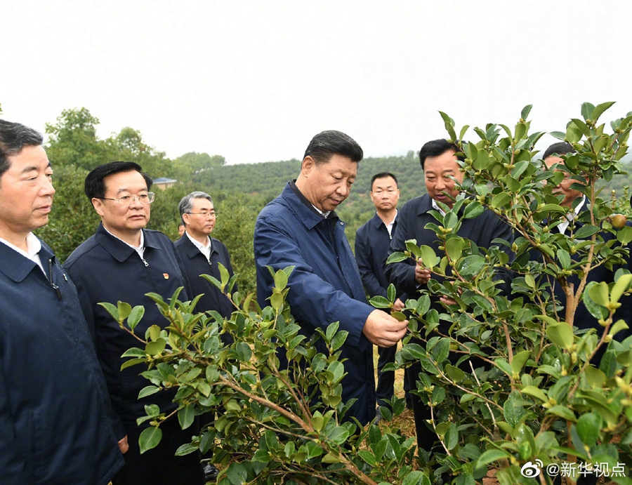 習近平：路子找到了，就要大膽去做