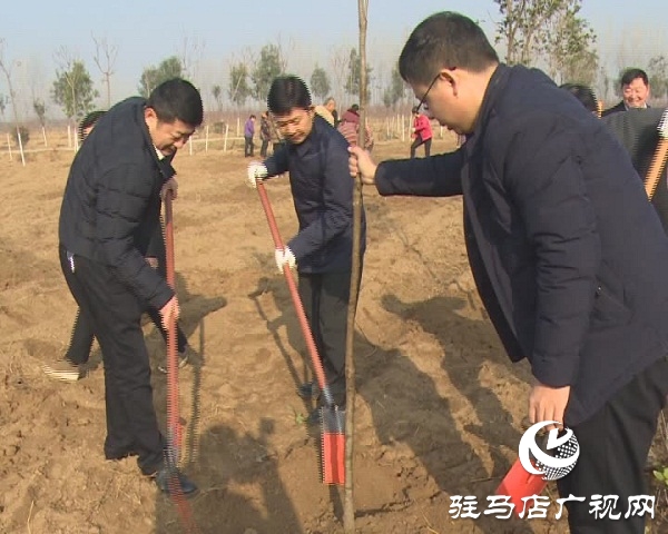 西平縣冬季植樹造林再掀新熱潮