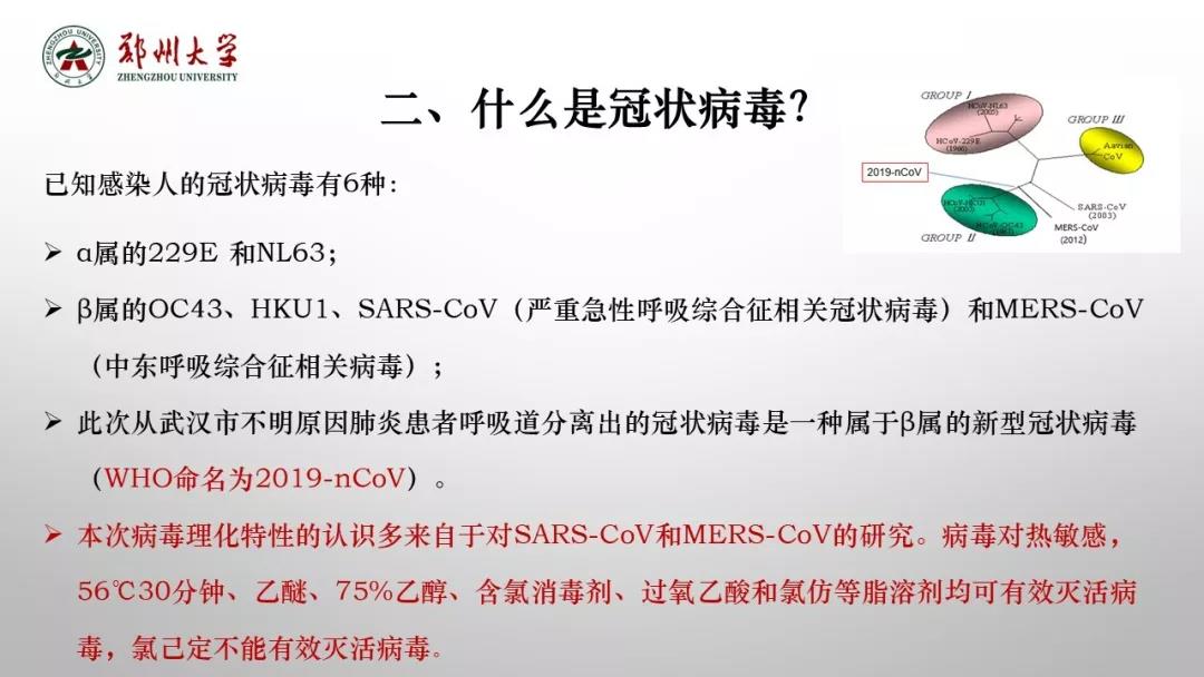 鄭州大學(xué)新型冠狀病毒感染的肺炎疫情防控知識宣傳手冊（師生第一版）