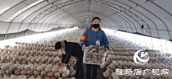 駐村干部李紅：戰(zhàn)斗在一線的特殊“銷售員”