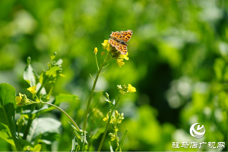 我們堅守，為了早日重逢