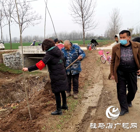 汝南縣三橋鎮(zhèn)搶抓時(shí)機(jī)忙植樹