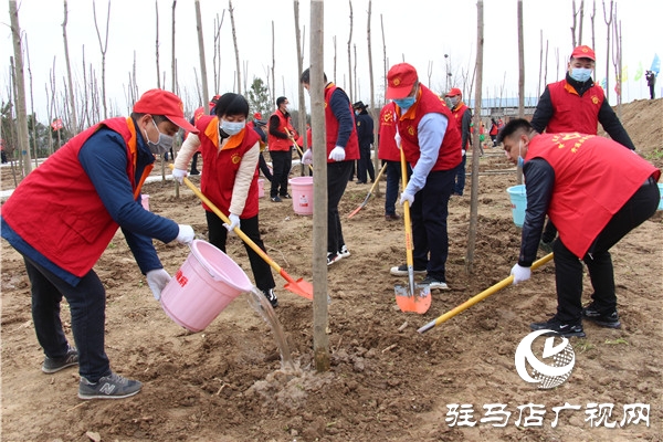 第42個(gè)植樹(shù)節(jié) 開(kāi)發(fā)區(qū)為美麗中國(guó)添新綠