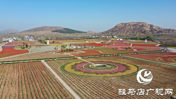 嵖岈山郁金香園3月24日開園迎客 醫(yī)護(hù)工作者可憑有效證件免費(fèi)入園