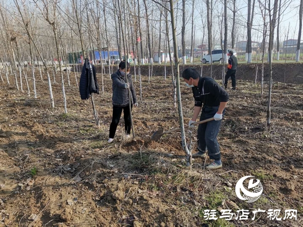 汝南縣老君廟鎮(zhèn)組建“生態(tài)護(hù)林員”隊(duì)伍助力脫貧攻堅(jiān)