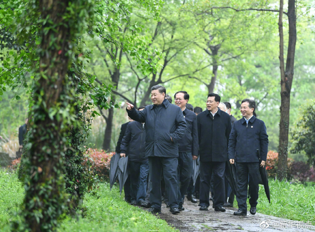 習近平考察杭州濕地保護利用和城市治理情況