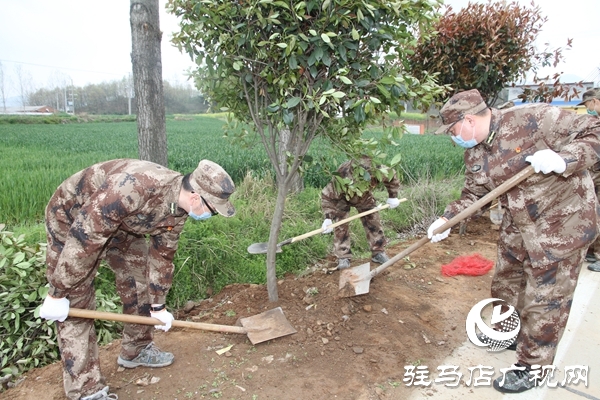 驛城區(qū)人武部為幫扶村“披綠”