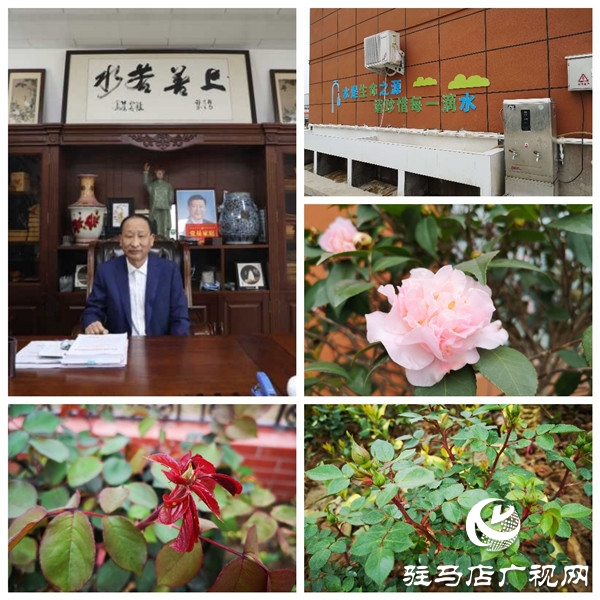 駐馬店大海商砼花園工廠——既要金山銀山，又要綠水青山