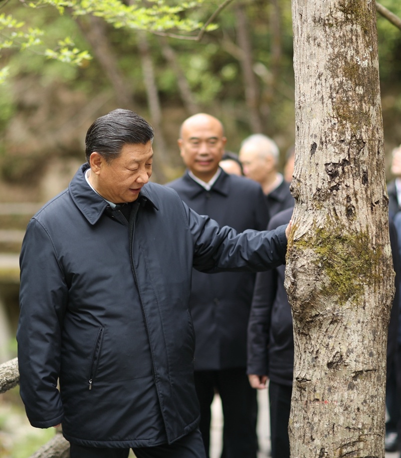 習(xí)近平在陜西考察秦嶺生態(tài)保護(hù)情況