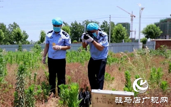 五一勞動節(jié):向堅守崗位的勞動者致敬,你們忙碌的身影最美麗！