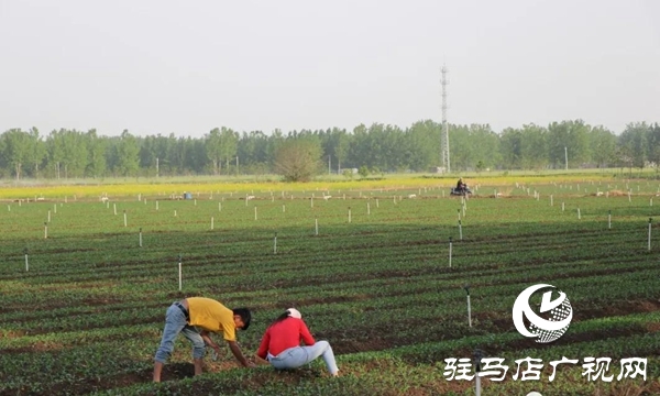 五一勞動節(jié):向堅守崗位的勞動者致敬,你們忙碌的身影最美麗！