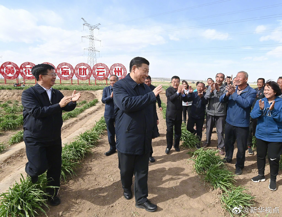 習(xí)近平：讓黃花成為群眾脫貧致富的“搖錢草”