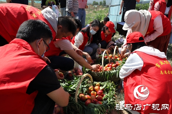 黨員為農(nóng)產(chǎn)品代言，政協(xié)助力脫貧攻堅 