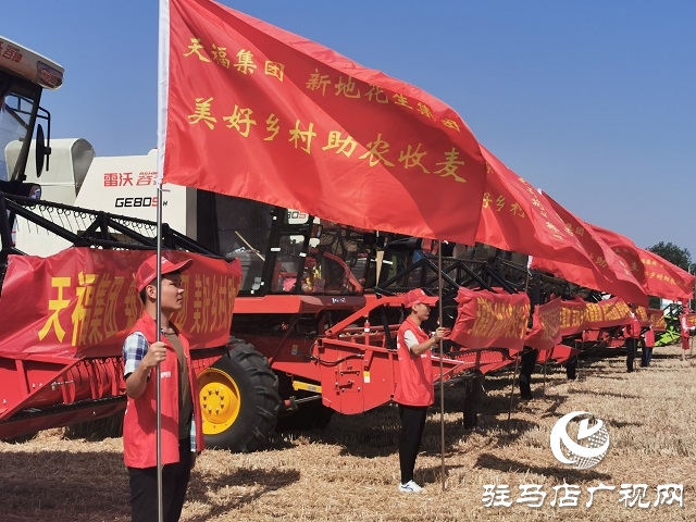 天福、新地花生集團助農(nóng)收麥忙 三夏時節(jié)確保顆粒歸倉