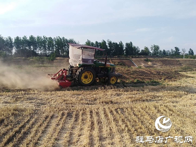 汝南縣王崗鎮(zhèn)開展河湖破堤種植及非法圍墾行為專項整治活動