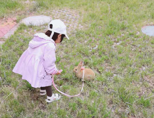 今年春節(jié)親子游都去的打卡地！門票免費(fèi)送！