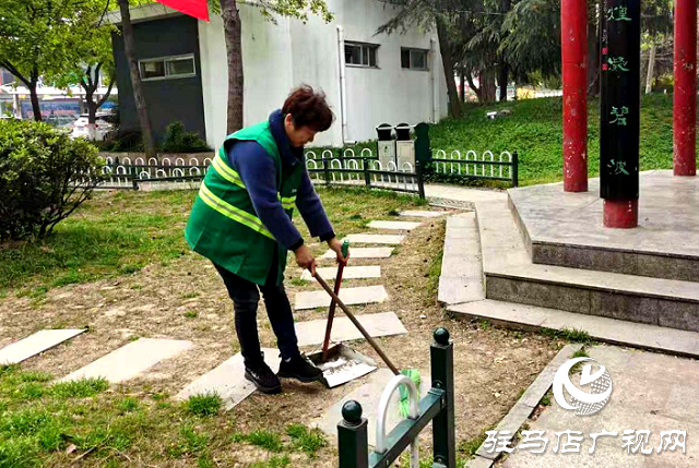 駐馬店：飛絮來襲惹人煩 市長熱線除隱患