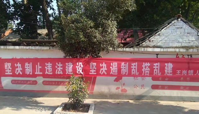 汝南縣王崗鎮(zhèn)多舉措開展農(nóng)村亂占耕地建房問題整治宣傳活動