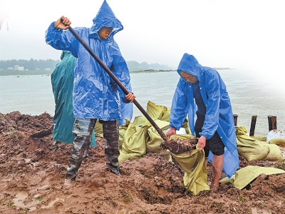 河南全力備汛迎戰(zhàn) 守護(hù)江河安瀾