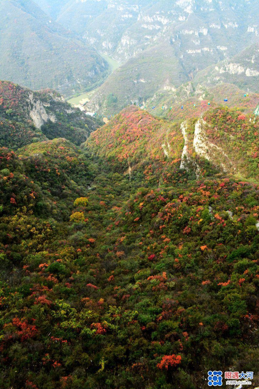 醉美紅葉秋染太行