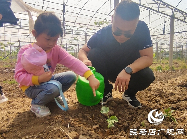 遂平杰美莊園：認(rèn)養(yǎng)早春西瓜 見證小生命成長