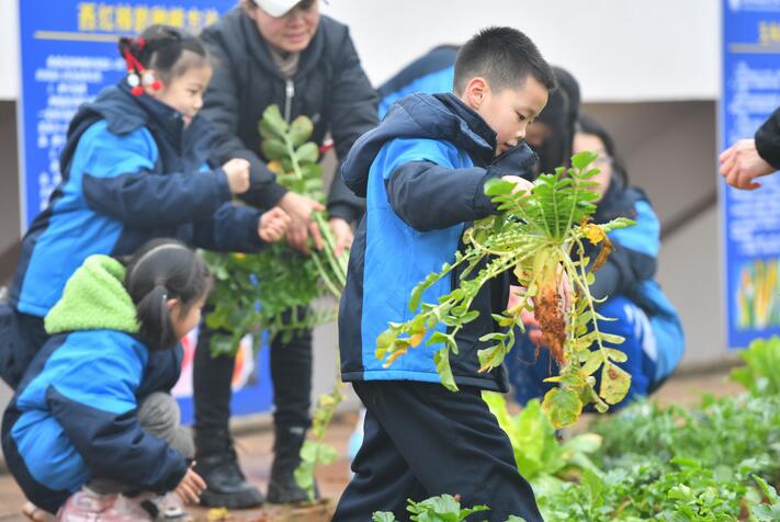 孩子們，上勞動(dòng)課了！——聚焦中小學(xué)新版勞動(dòng)課幾個(gè)關(guān)注點(diǎn)