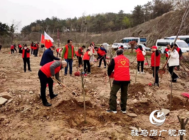 駐馬店市五部門組織開展共植紀(jì)念林活動(dòng)