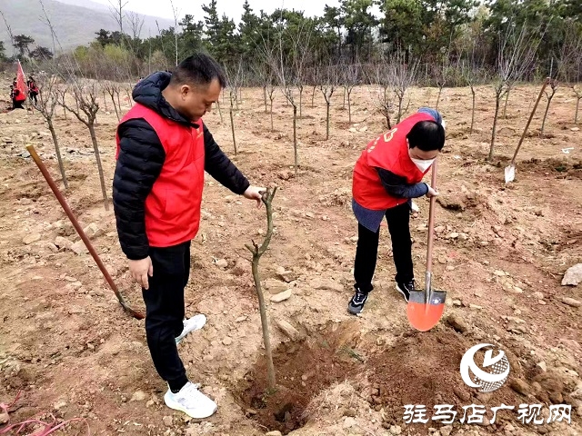 駐馬店市五部門組織開展共植紀(jì)念林活動(dòng)