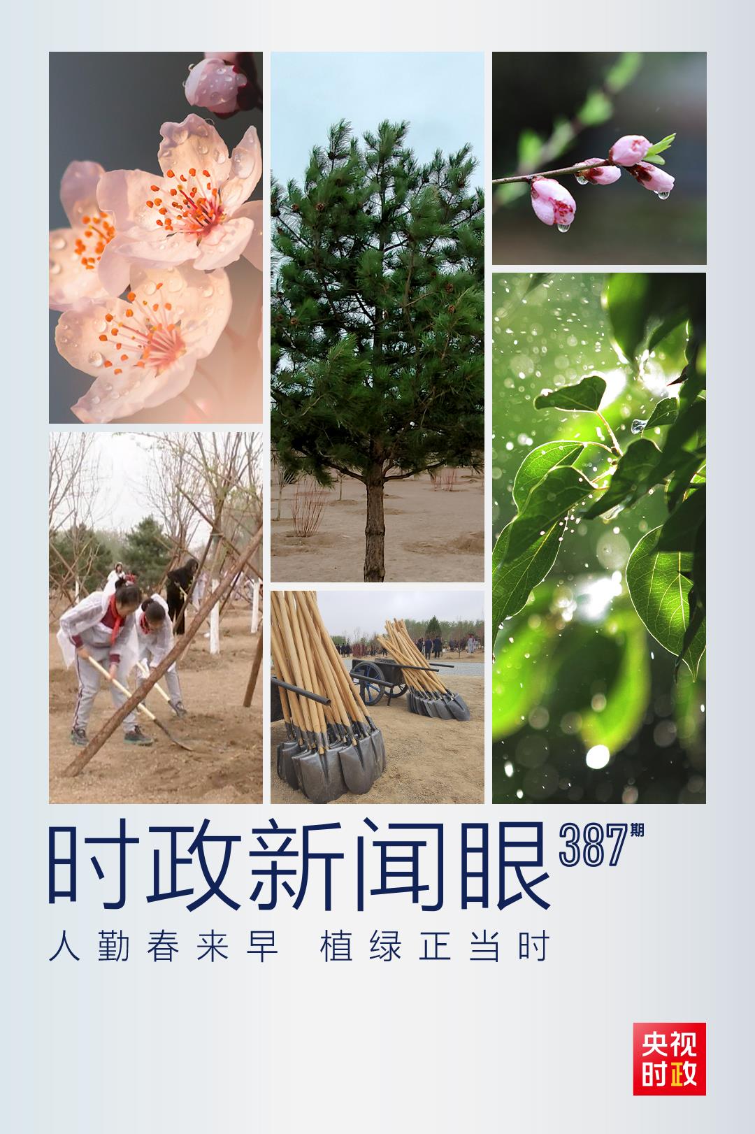 時(shí)政新聞眼丨在今年首都義務(wù)植樹(shù)現(xiàn)場(chǎng)，習(xí)近平這三句話飽含深意