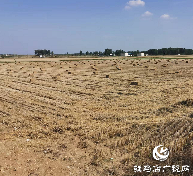 泌陽縣泰山廟鎮(zhèn)：秸稈綜合利用 “生態(tài)包袱”變“綠色財(cái)富”