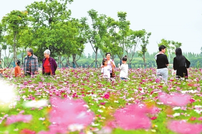 新時(shí)代 新征程 新偉業(yè)丨國(guó)際花園城市競(jìng)賽，信陽(yáng)憑啥“蟾宮折桂”