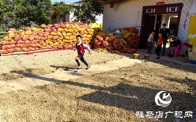 正陽(yáng)縣：村頭田間盡是豐收景